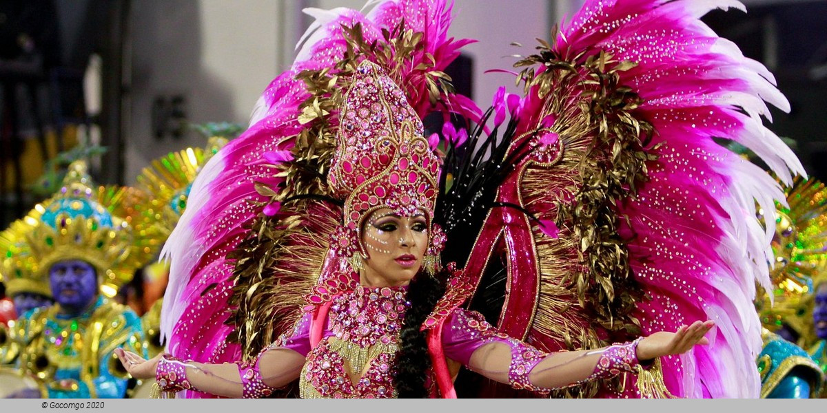 São Paulo Carnival Tickets in High Level Box with included Shuttle, Guide, Food and Drink in a Small Group