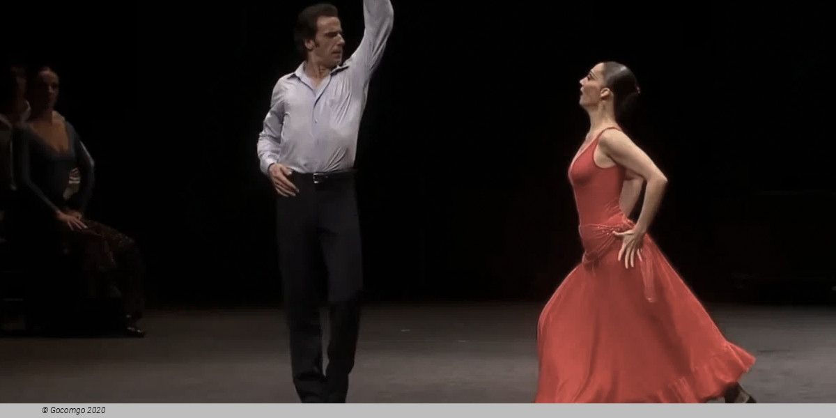 CARMEN IN FLAMENCO, photo 4