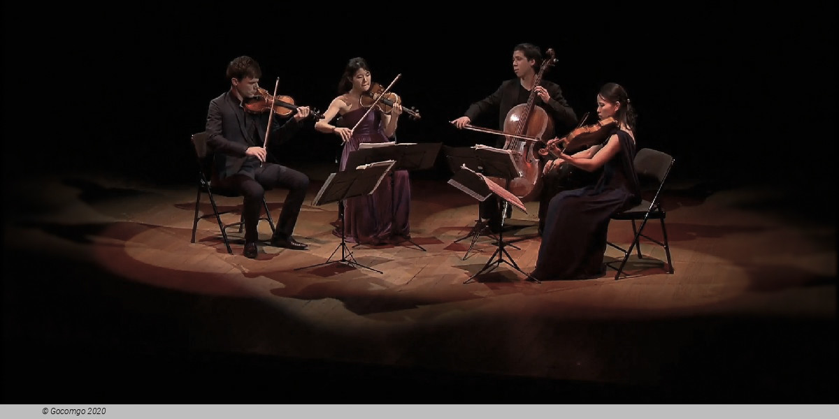 Robert Levin Piano, Quatuor Hermès, photo 1