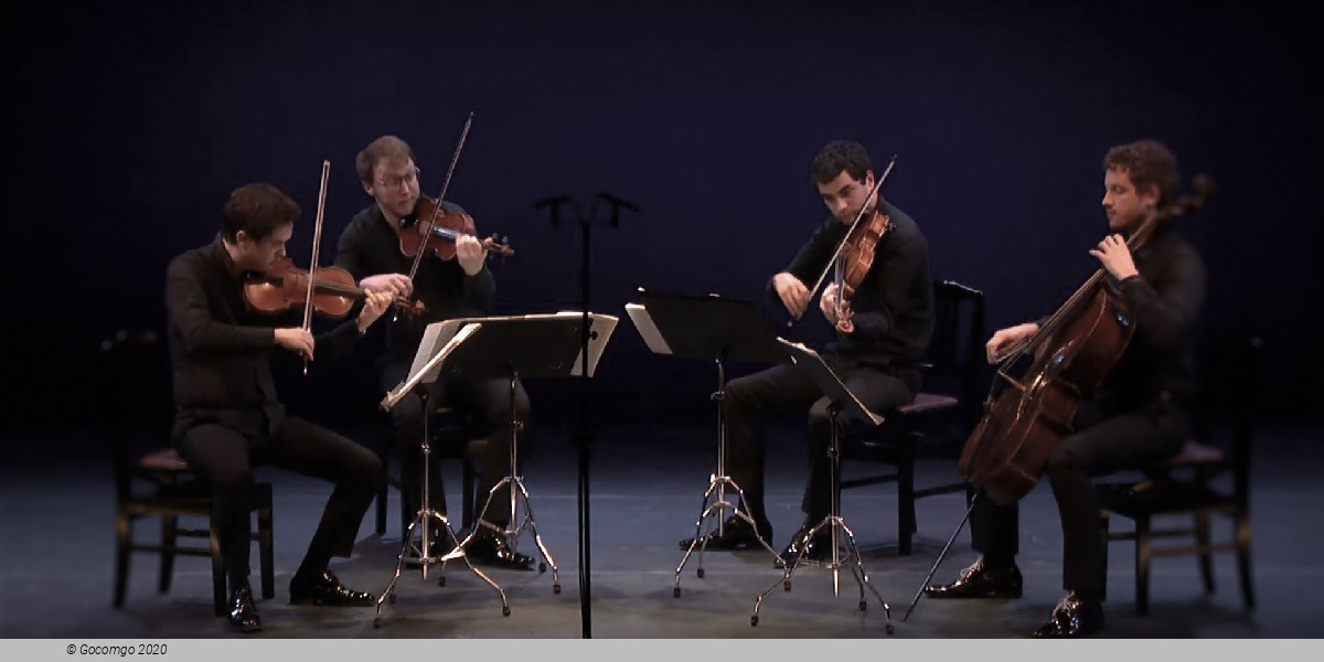 Quatuor Van Kuijk, photo 1