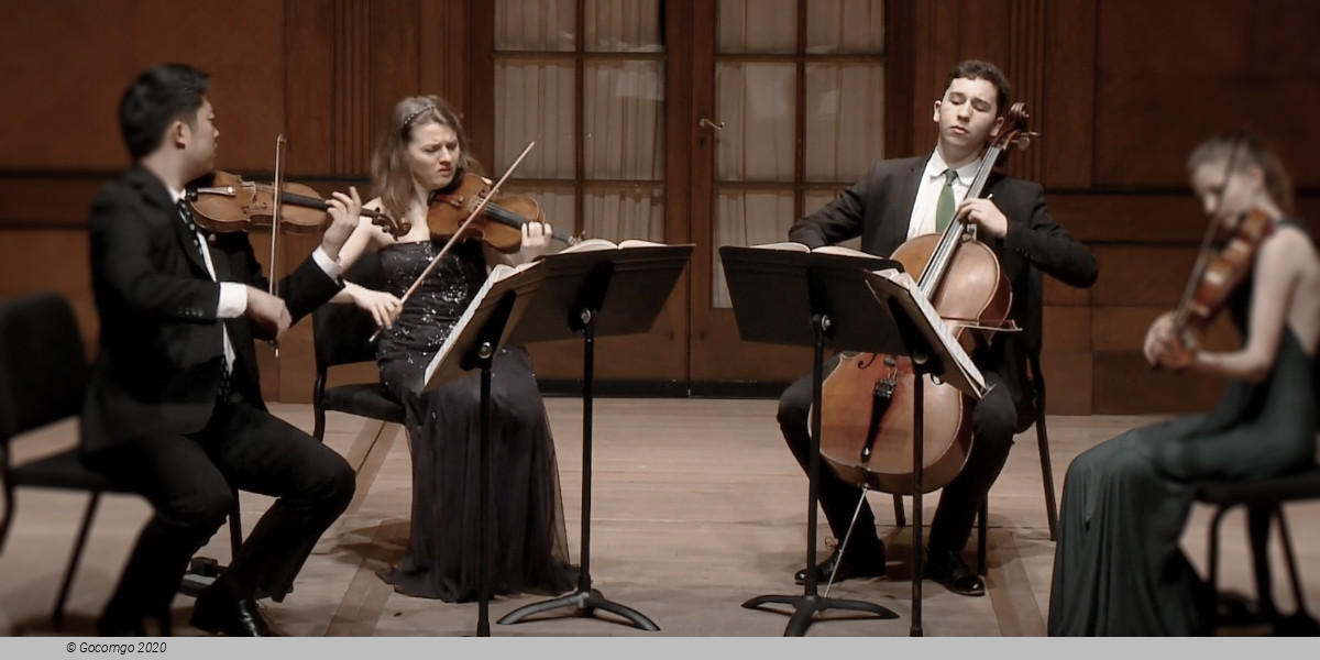 Haydn Quartett I: Hagen Quartett, photo 1