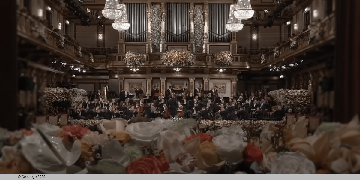 Vienna Philharmonic Orchestra / Alain Altinoglu, photo 1