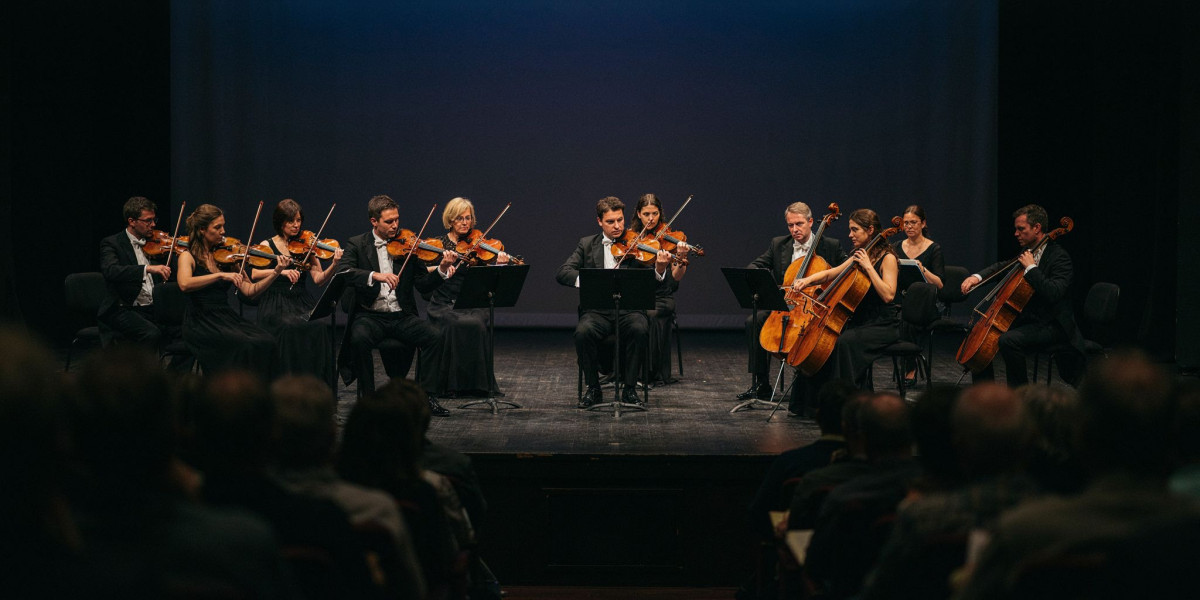 Triple Quartet + After Dark, photo 1