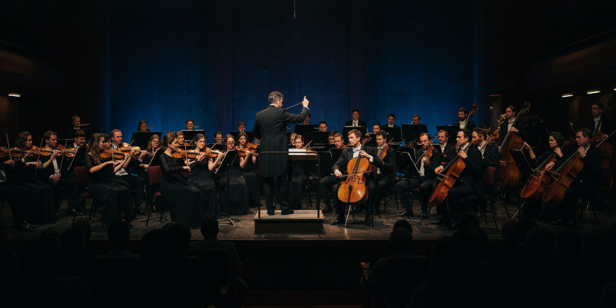 Sir Antonio Pappano & Sheku Kanneh-Mason, photo 1