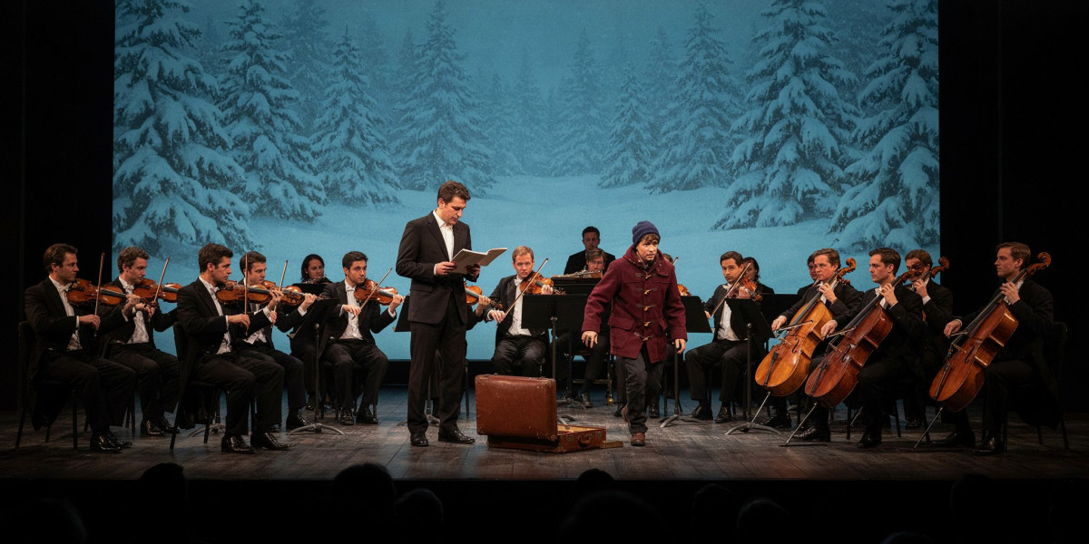 The Snowman in concert, photo 1