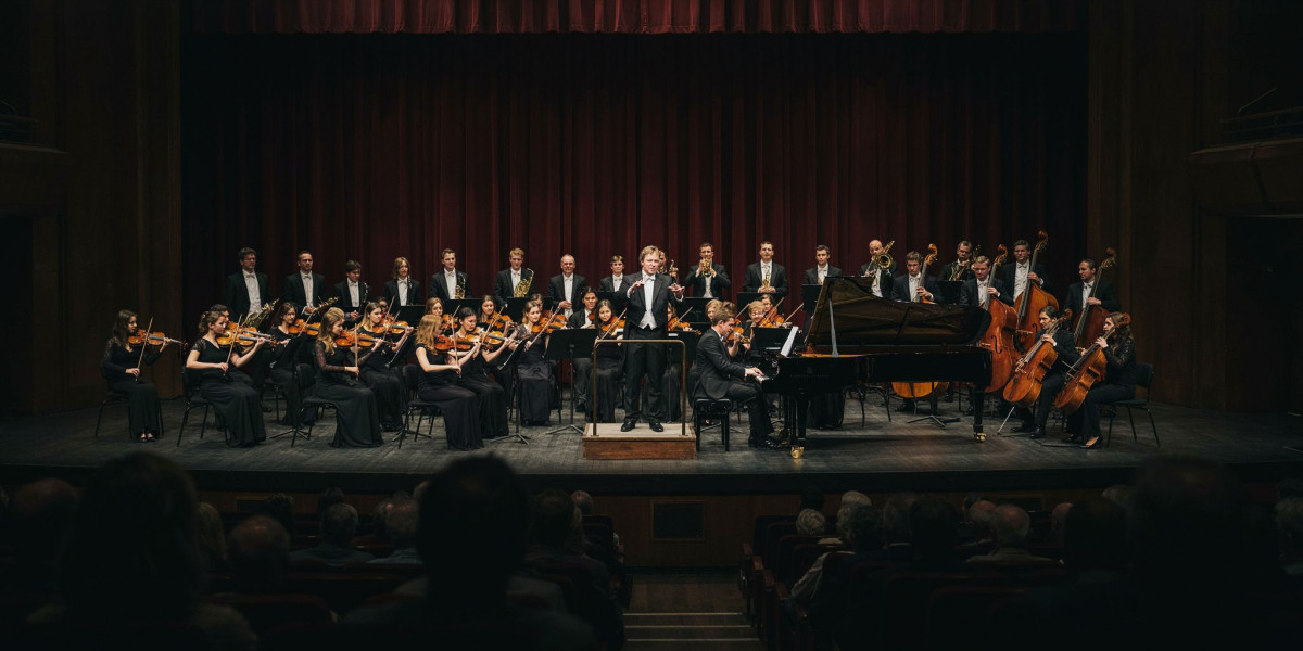 Lukas Sternath plays Beethoven, photo 1