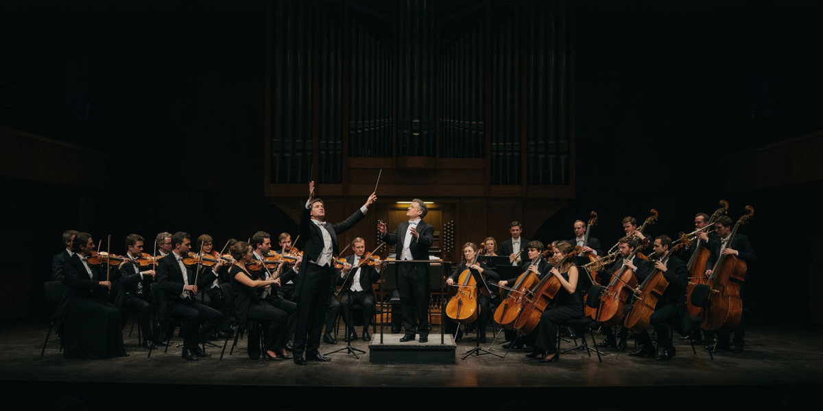 Strauss & Saint-Saëns, photo 1