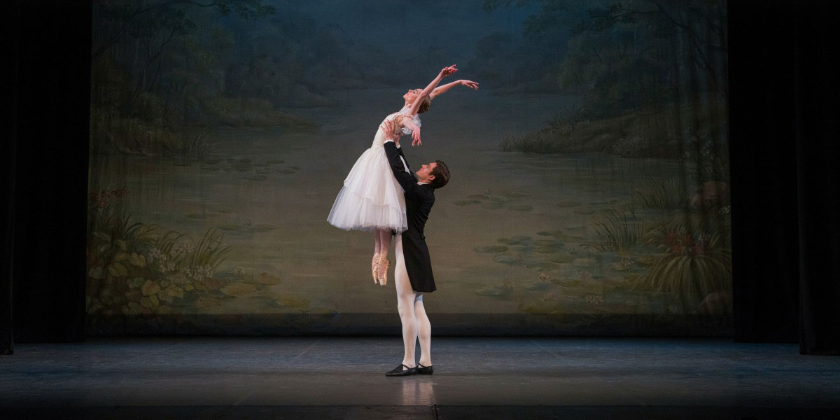 Ballet Nights 012, photo 1