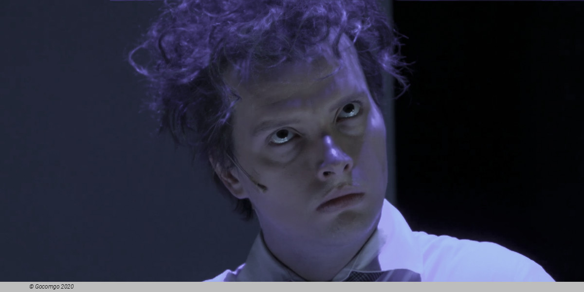 Die Physiker (The Physicists), photo 1
