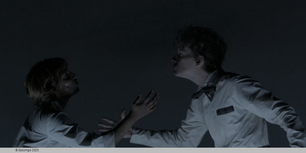 Die Physiker (The Physicists), photo 3