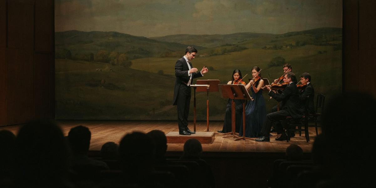 Flanders Symphony Orchestra, photo 1