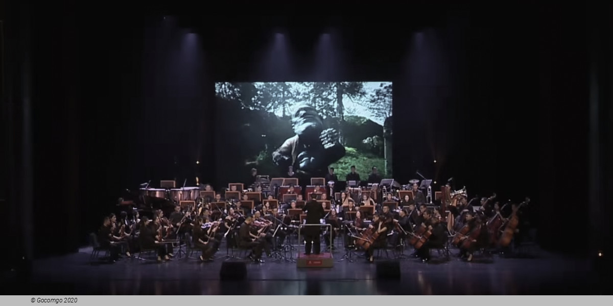 Black Myth: Wukong Global Concert, photo 2