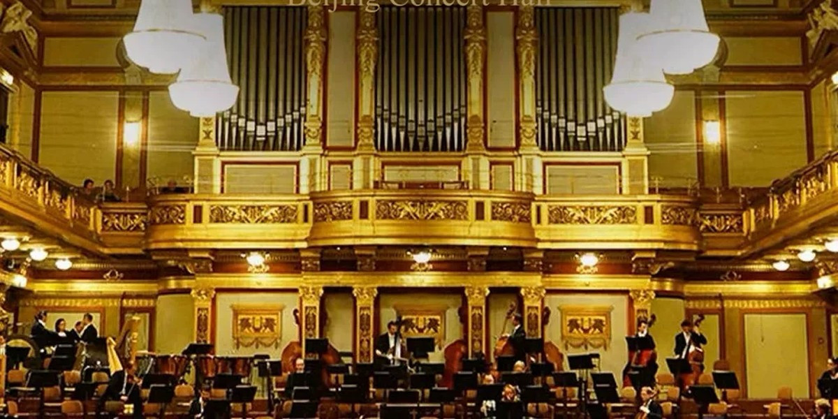 Vienna K&K Symphony Orchestra 2027 New Year Concert, photo 2
