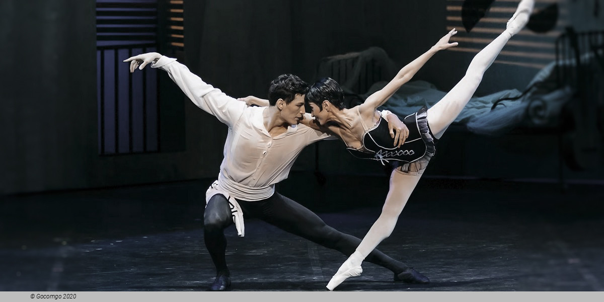 Hong Kong Arts Festival 2027, photo 8