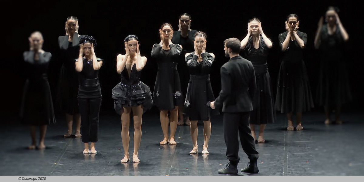 Swan Lake by Angelin Preljocaj, photo 2