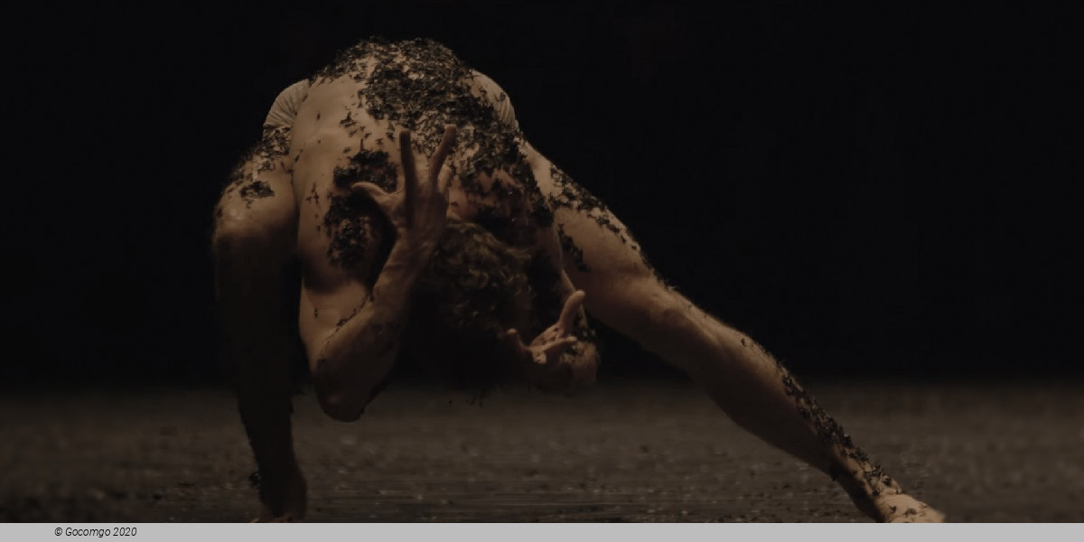 Scene 3 from the modern ballet "Mass da Requiem" by Christian Spuck, photo 4