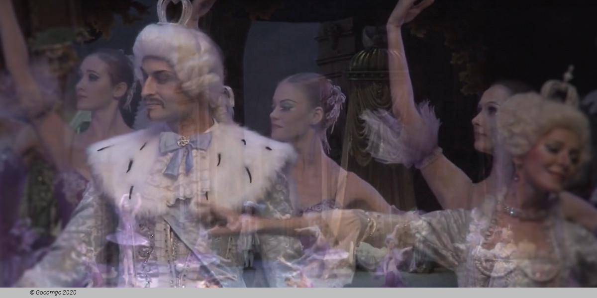 The Sleeping Beauty, photo 2