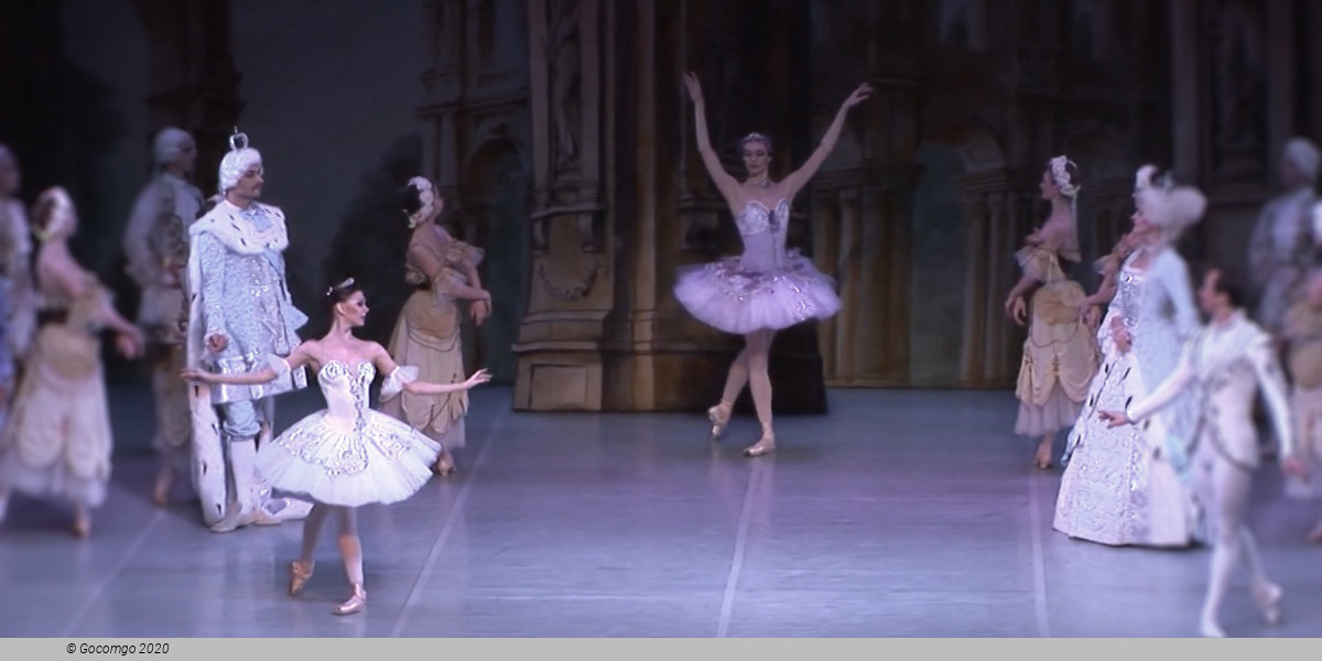 The Sleeping Beauty, photo 3