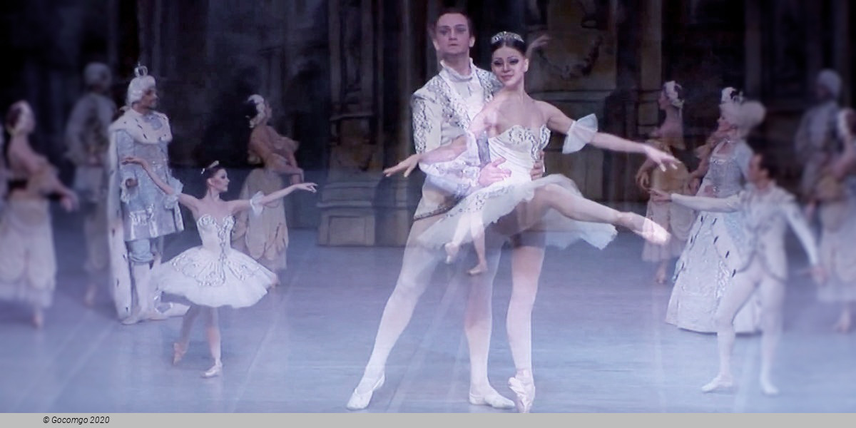 The Sleeping Beauty, photo 6