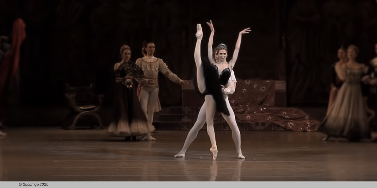 Swan Lake, photo 1