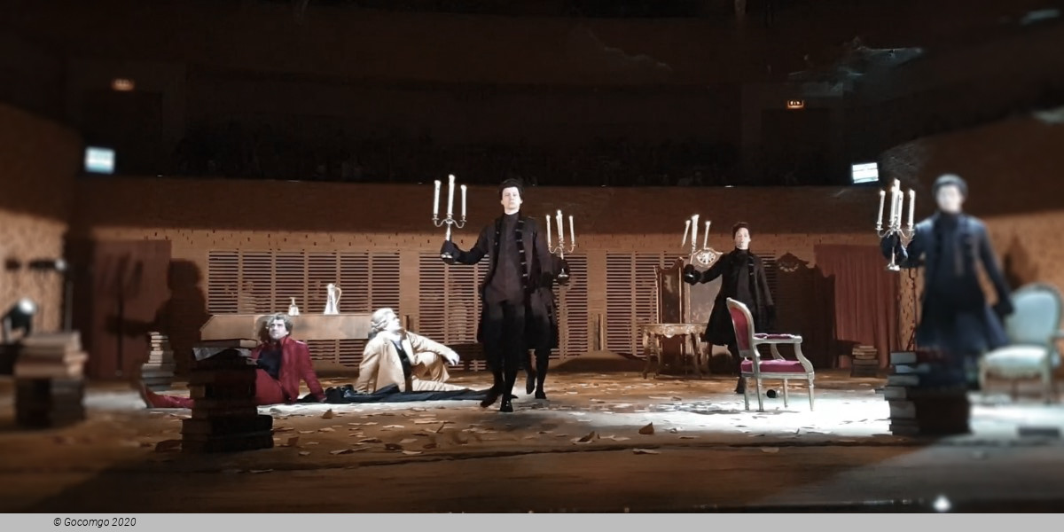 Mozart and Salieri, photo 9