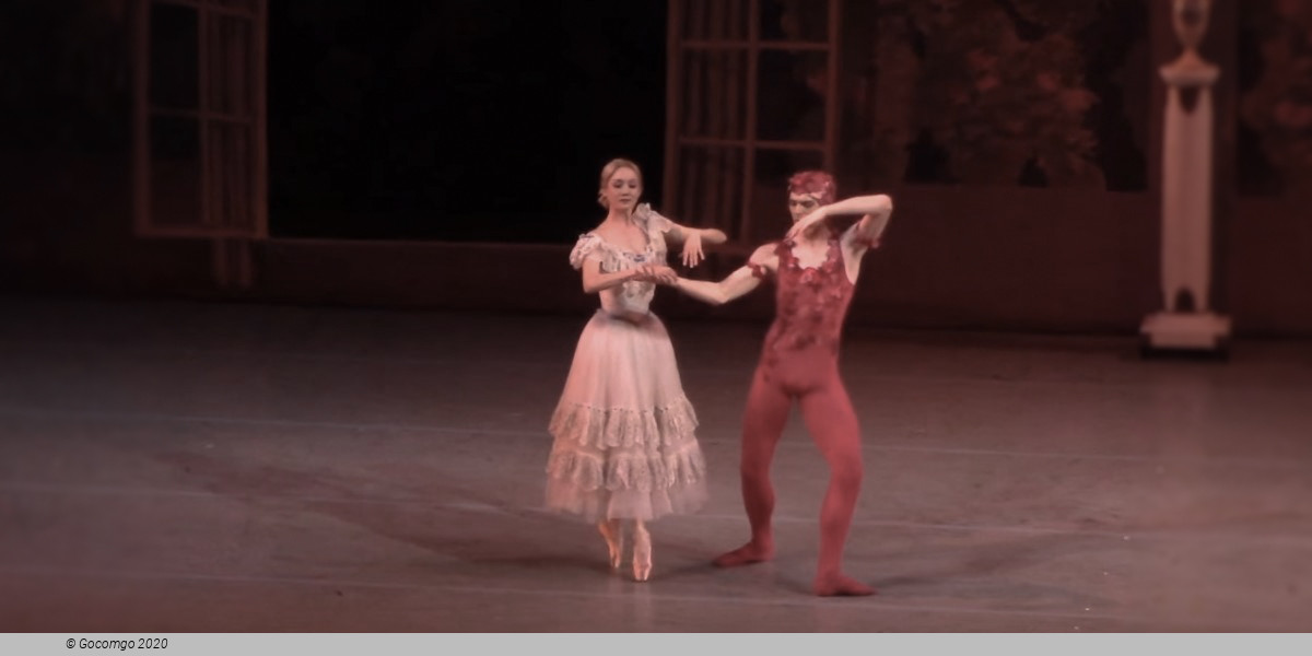 Le Spectre de la rose, photo 4