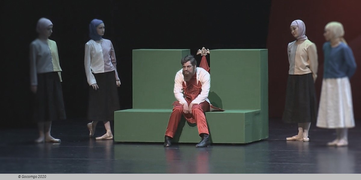 The Little Humpbacked Horse, photo 5