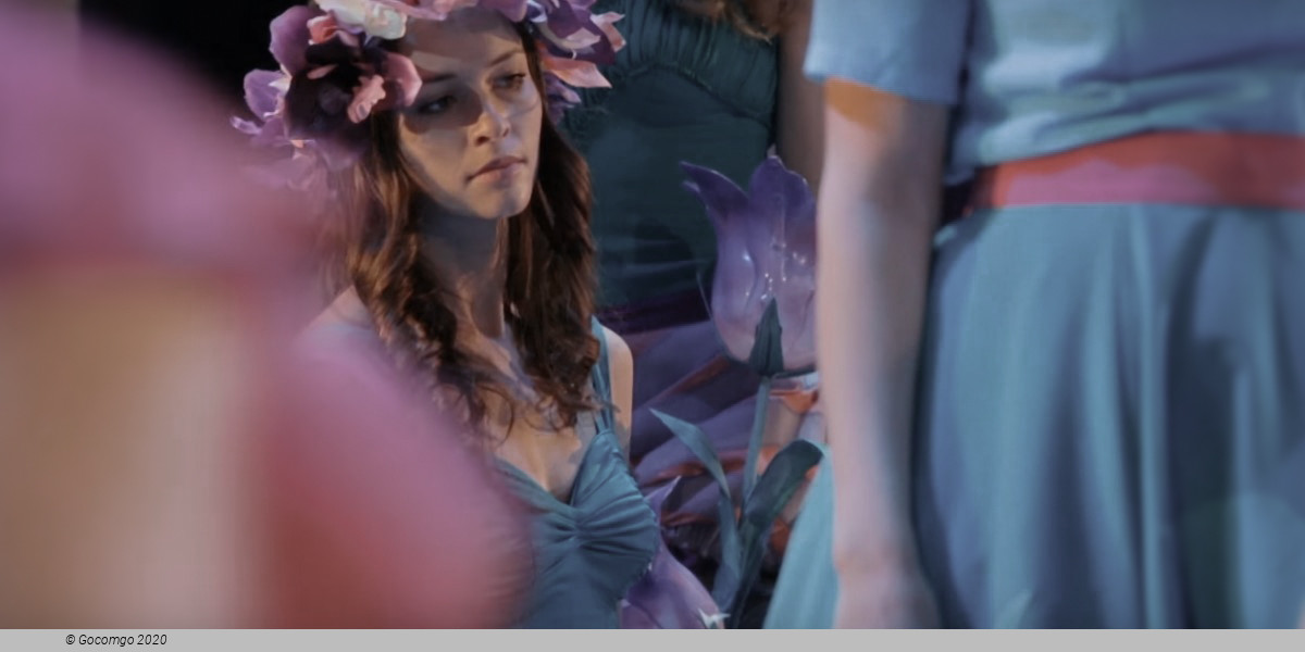 The Golden Cockerel, photo 2