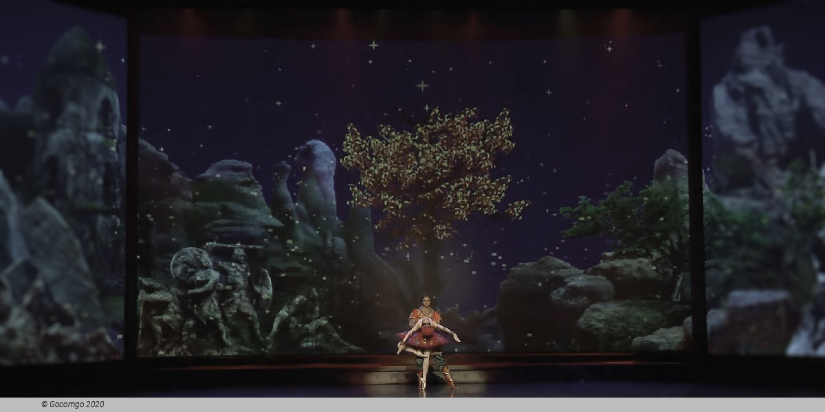 The Firebird, photo 4