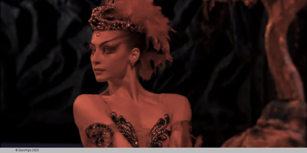 The Firebird, photo 5