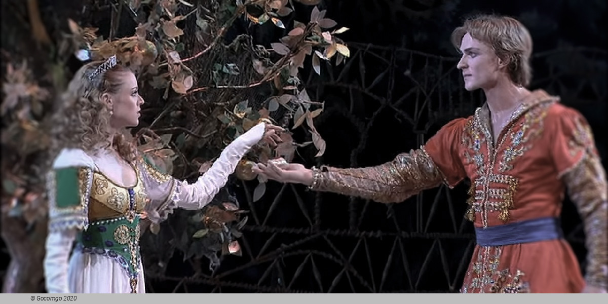 The Firebird, photo 6