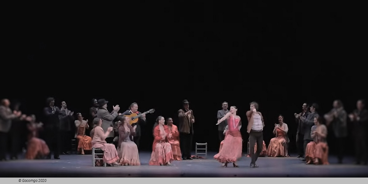 Scene 5 from the ballet "Fuego", photo 5