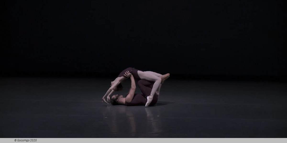 Polyphonia, photo 2