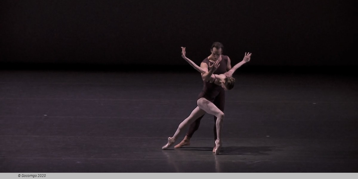Polyphonia, photo 4