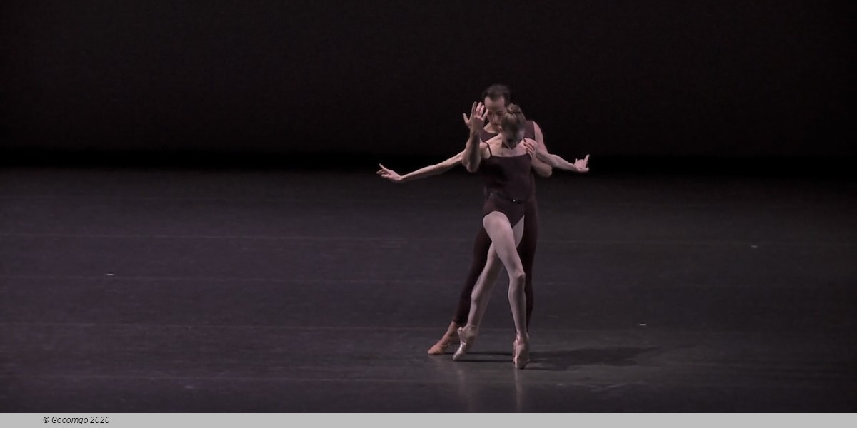 Polyphonia, photo 1