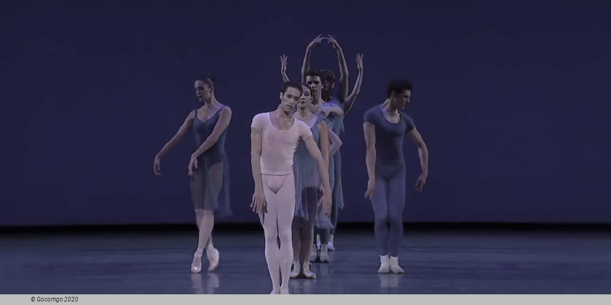 Opus 19 / The Dreamer, photo 5