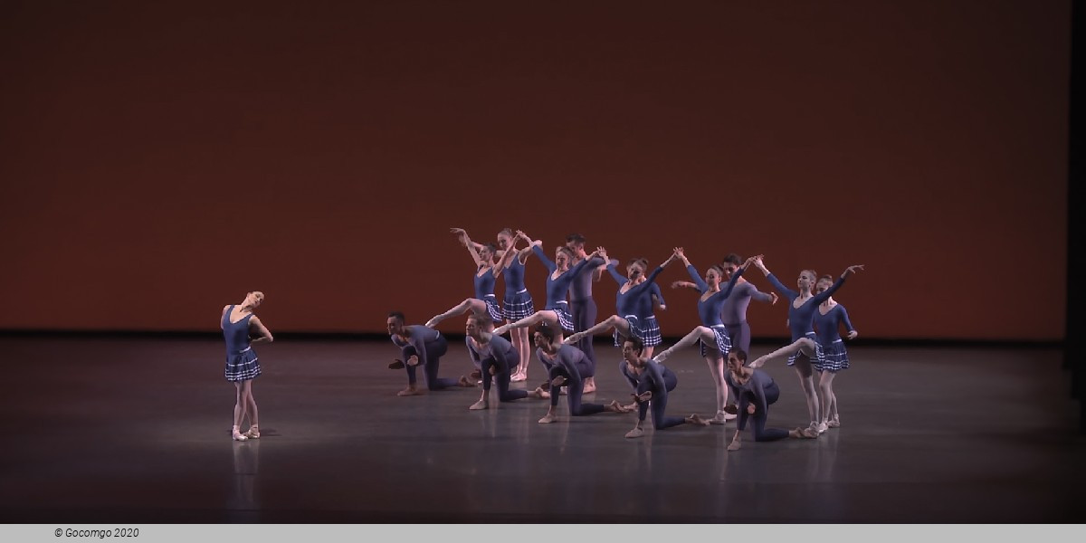 Year of the Rabbit, photo 1
