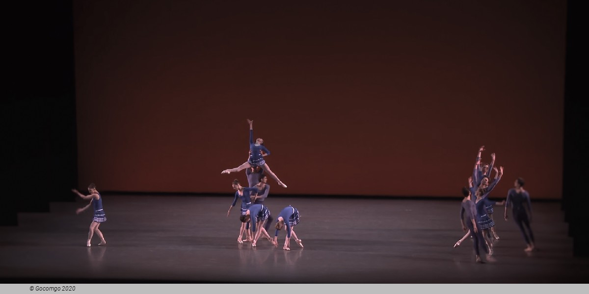 Year of the Rabbit, photo 5
