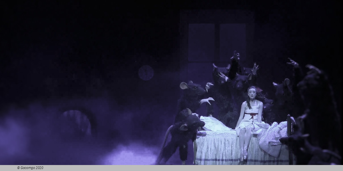 The Nutcracker, photo 7