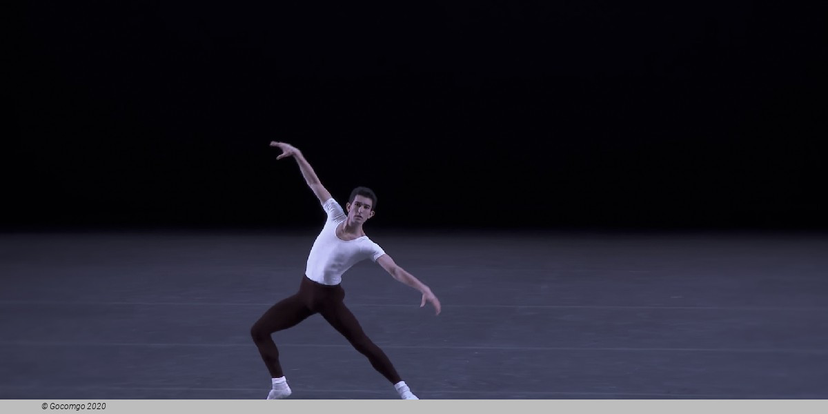 The Four Temperaments, photo 9