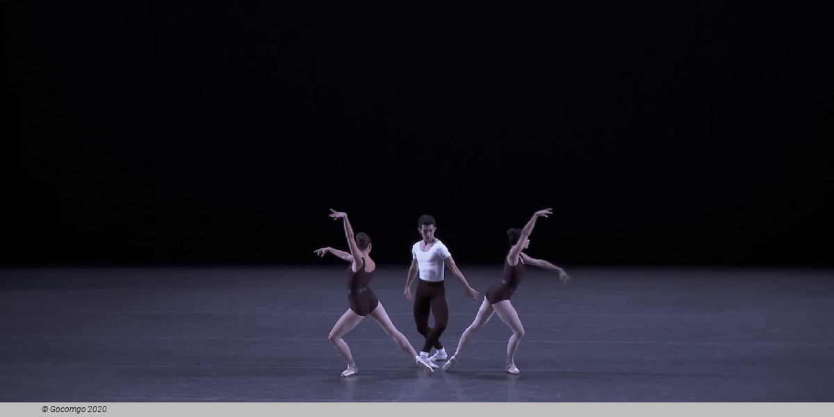 The Four Temperaments, photo 7