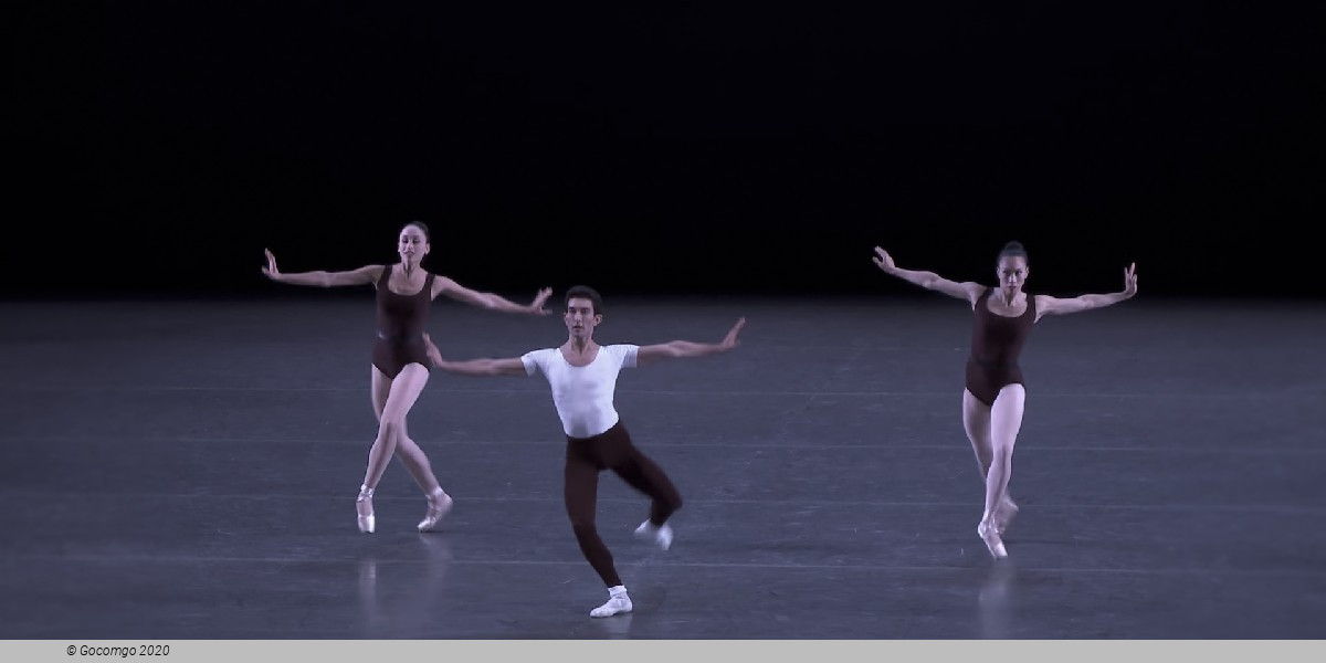 The Four Temperaments, photo 10