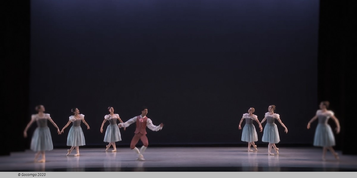 Donizetti Variations, photo 4