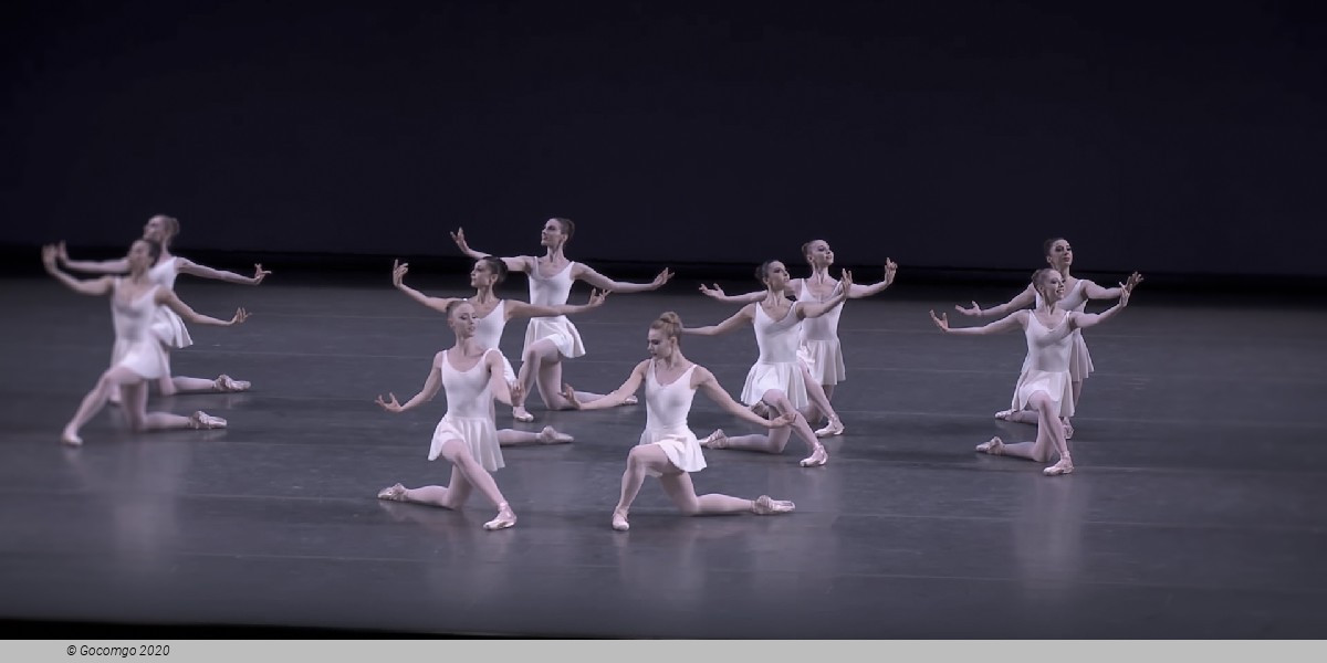 Concerto Barocco, photo 5