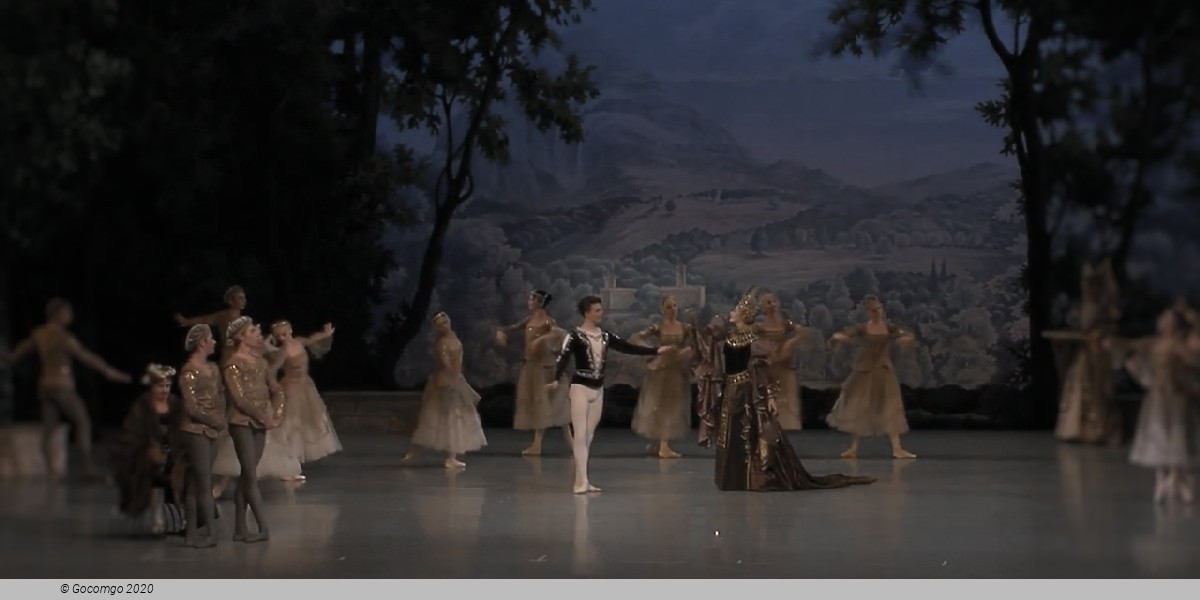 Swan Lake. Performance by the Leonid Yakobson Ballet Theatre, photo 5