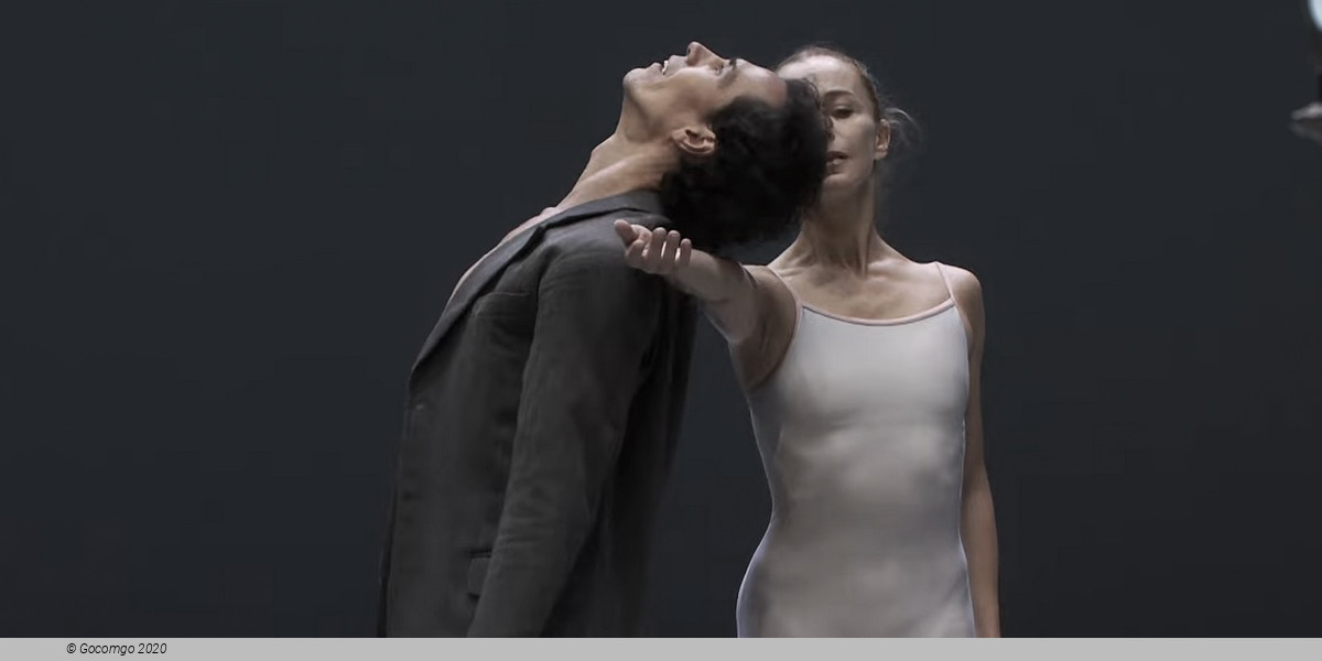 Ghost Light, photo 1