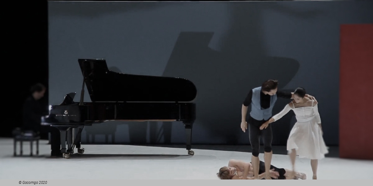 Beethoven Project, photo 2