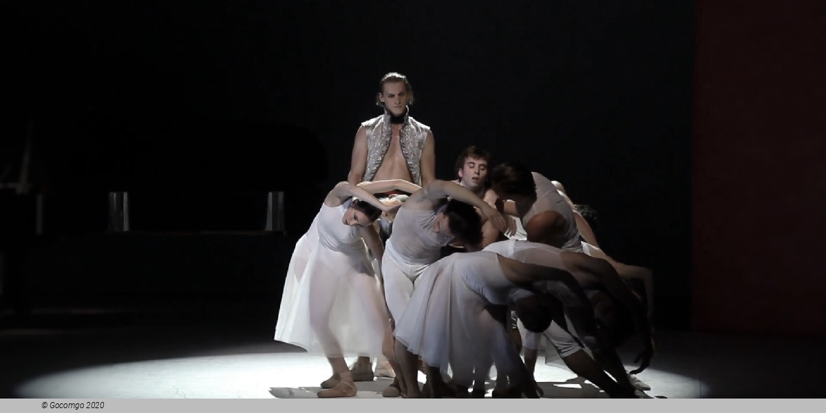 Beethoven Project, photo 3