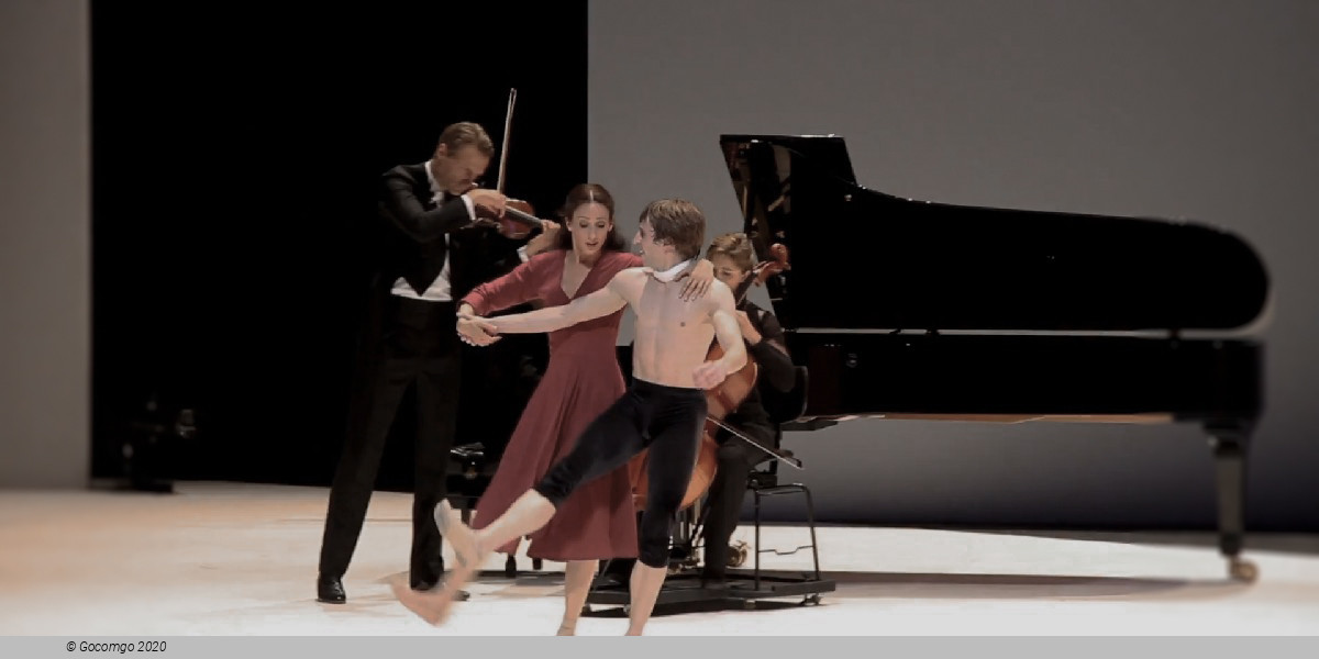 Beethoven Project, photo 4