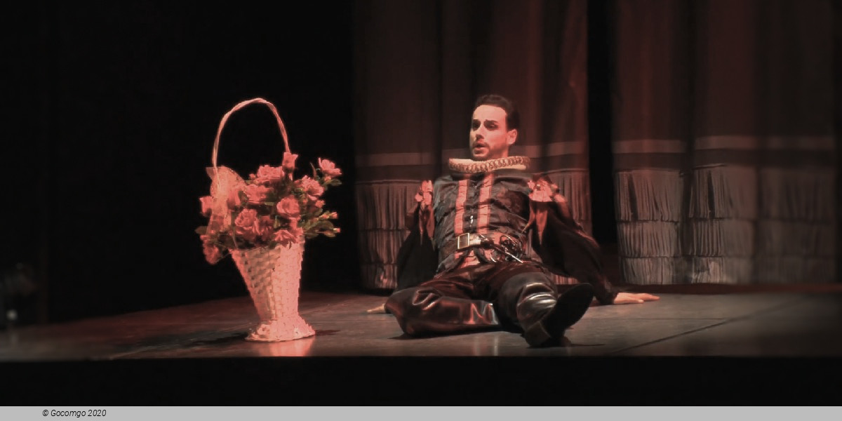 Scene 2 from the opera "Rigoletto", photo 2